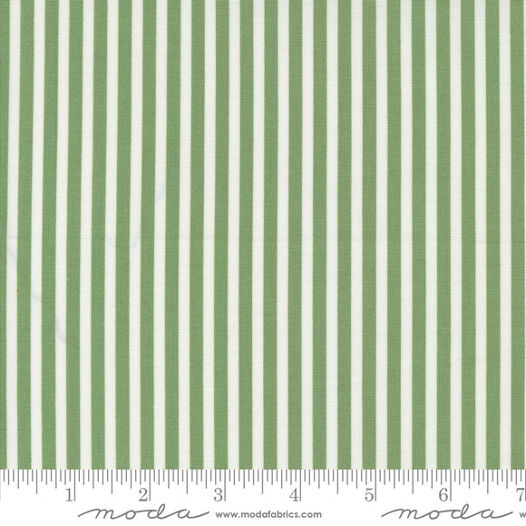 Shoreline Simple Stripes Green Yardage by for Moda - 55305 15 - PRICE PER 1/2 YARD