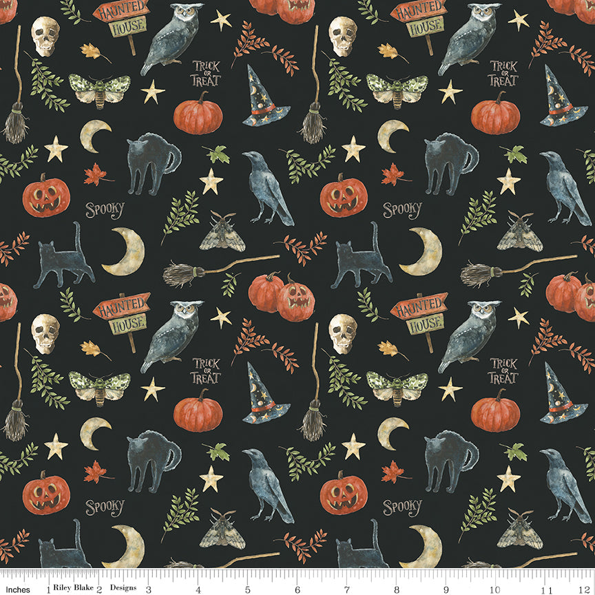 Trick or Treat Spooky Black Yardage for RBD - CD15962 BLACK - PRICE PER 1/2 YARD