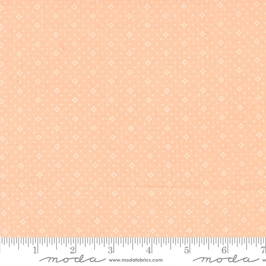 Eyelet Cantaloupe Yardage by Stacy Lest Hsu for Moda - 20488 29 - PRICE PER 1/2 YARD