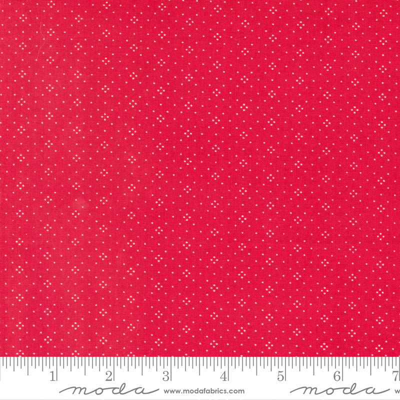 Eyelet Cherry Yardage by Stacy Lest Hsu for Moda - 20488 66 - PRICE PER 1/2 YARD