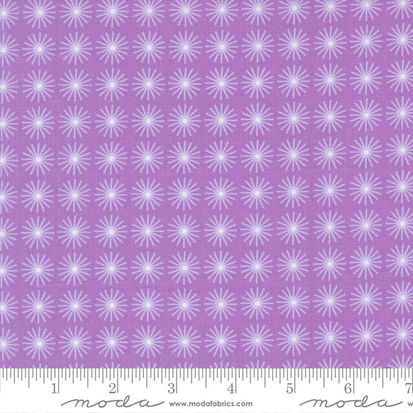 On The Bright Side Sunshine Blinders Suns Passion Fruit Ydg for Moda - 22464 21 - PRICE PER 1/2 YARD