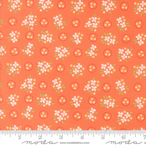 Cali & Co Melon Yardage for Moda -29191 14- PRICE PER 1/2 YARD