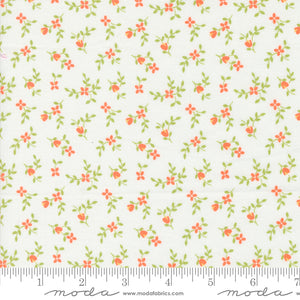 Cali & Co Cloud Melon Yardage for Moda -29192 14- PRICE PER 1/2 YARD