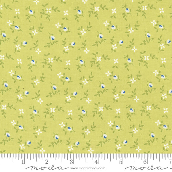 Cali & Co Light Lime Yardage for Moda -29192 38- PRICE PER 1/2 YARD