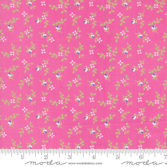 Cali & Co Carnation Yardage for Moda -29192 43- PRICE PER 1/2 YARD