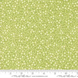 Cali & Co Pistachio Yardage for Moda -29193 37- PRICE PER 1/2 YARD