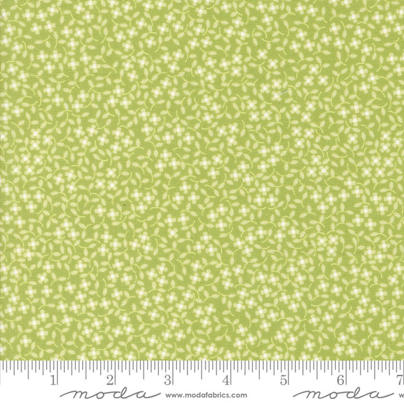 Cali & Co Pistachio Yardage for Moda -29193 37- PRICE PER 1/2 YARD