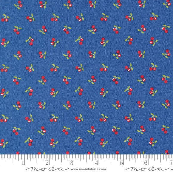 Cali & Co Cobalt Yardage for Moda -29194 21- PRICE PER 1/2 YARD