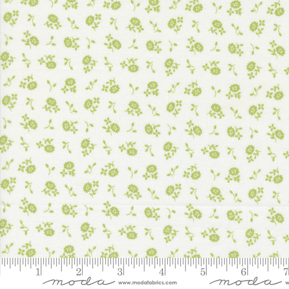 Cali & Co Cloud Pistachio Yardage for Moda -29195 17- PRICE PER 1/2 YARD