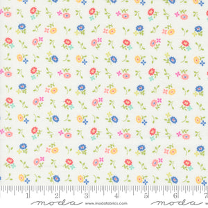 Cali & Co Cloud Multi Yardage for Moda -29195 25- PRICE PER 1/2 YARD