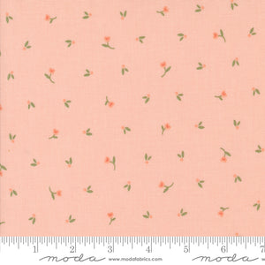 Flower Girl Picked Daisy Blush Yardage for Moda - 31732 16 - PRICE PER 1/2 YARD