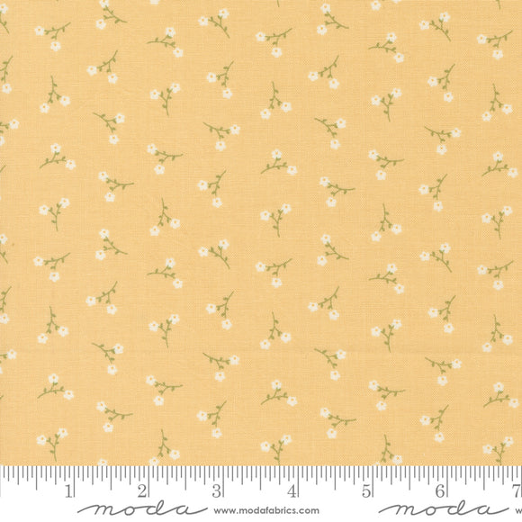 Dainty Meadow Dainty Toss Buttercup Yardage for Moda - 31749 14 - PRICE PER 1/2 YARD