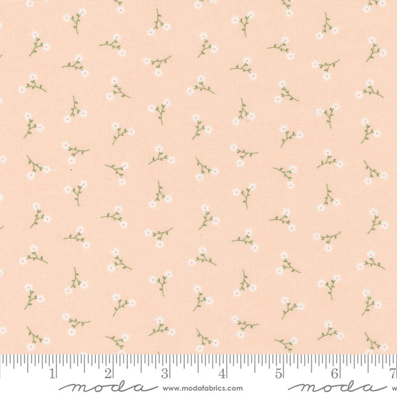 Dainty Meadow Dainty Toss Blush Yardage for Moda - 31749 16 - PRICE PER 1/2 YARD