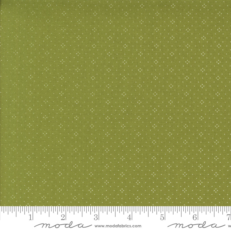 Eyelet- 20488 119 - PRICE PER 1/2 YARD