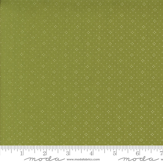 Eyelet- 20488 119 - PRICE PER 1/2 YARD