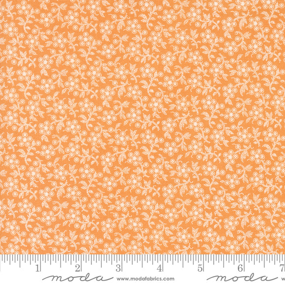 Denim Daisies Daisy Fields Butterscotch Ydg for Moda - 35386 14 - PRICE PER 1/2 YARD