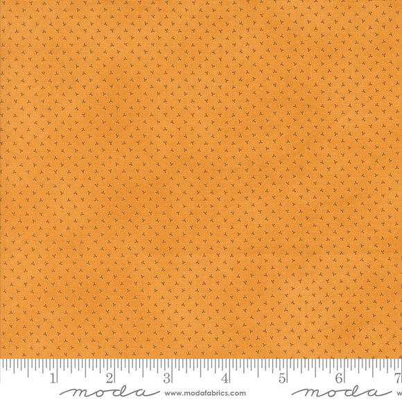 Pumpkin Spice Gath Moon Beam Yardage by Moda 49296 21 - PRICE PER 1/2 YARD