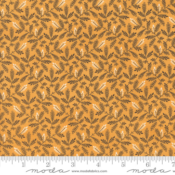 Pumpkin Spice Gath Moon Beam Yardage by Moda 49297 19 - PRICE PER 1/2 YARD