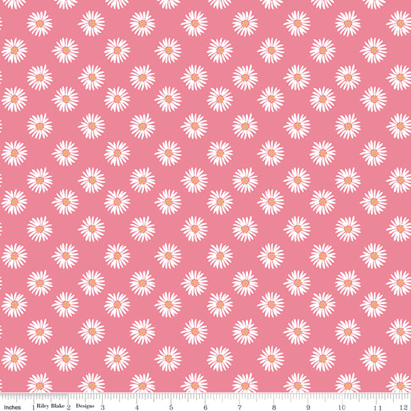 Flora No. 6 Daisies Pink Yardage for RBD-C14461-PINK- PRICE PER 1/2 YARD