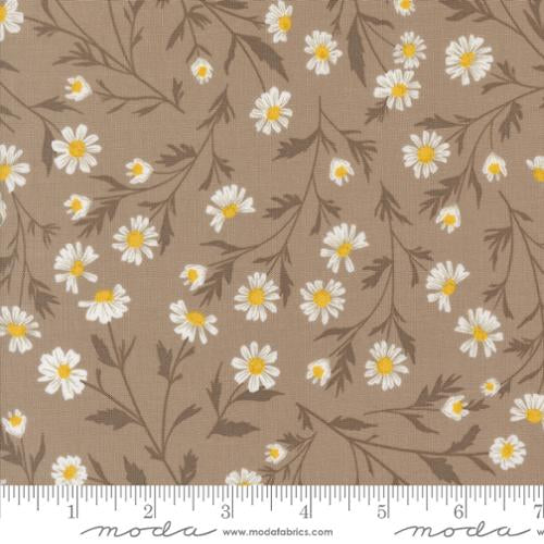 Sun Drenched Stone Yardage for Moda - 43200 13 - PRICE PER 1/2 YARD