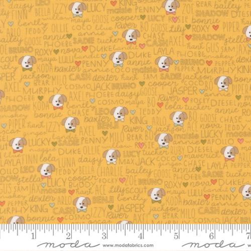 Lucky Buddies Sun Yardage for Moda - 55702 14 - PRICE PER 1/2 YARD