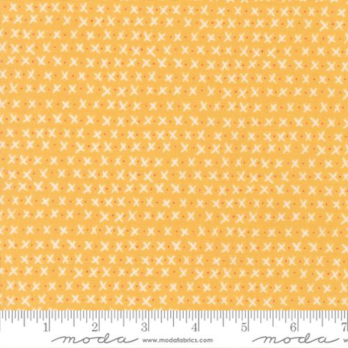 Lucky Xs and Os Sun Yardage for Moda - 55705 24 - PRICE PER 1/2 YARD
