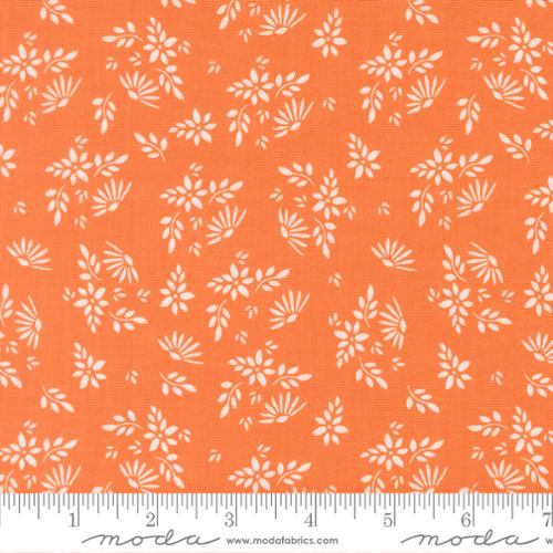 Birch and Willow Pumpkin Yardage for Moda -37721 14- PRICE PER 1/2 Yard