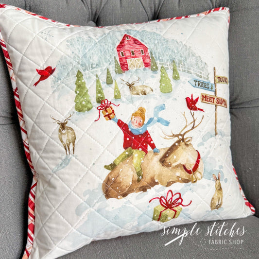 Meet Santa Pillow - made by Meg