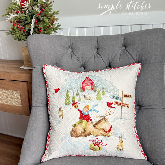 Meet Santa Pillow - made by Meg
