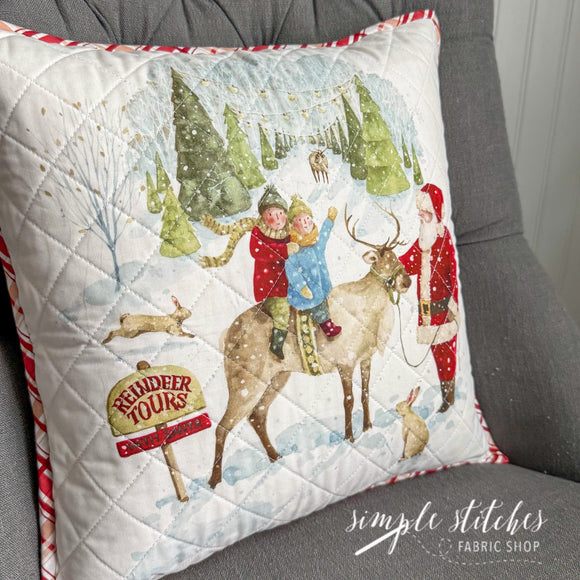 Reindeer Tours Pillow Kit
