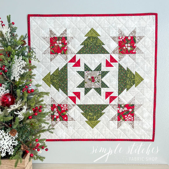 Holiday Adventure Mini Quilt - Multi Backing