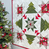 Holiday Adventure Mini Quilt - Multi Backing