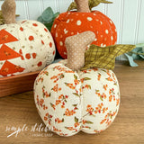 Harvest Pumpkin Patch Kit
