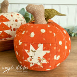 Harvest Pumpkin Patch Kit