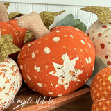 Harvest Pumpkin Patch Kit