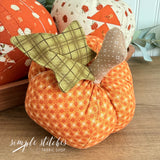 Harvest Pumpkin Patch Kit