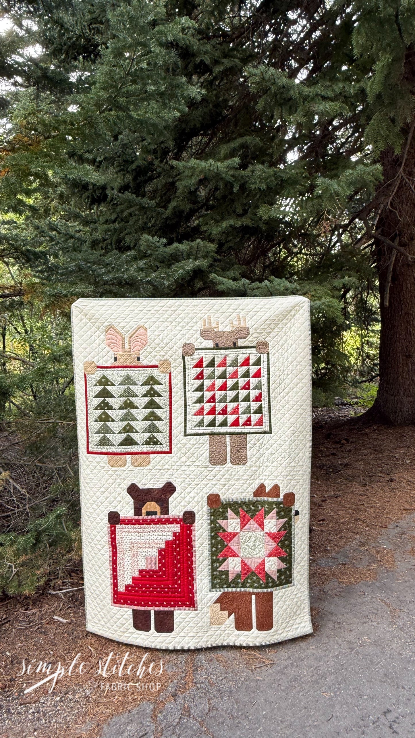 Show & Tell Quilt Kit