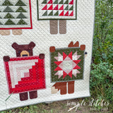 Show & Tell Quilt Kit