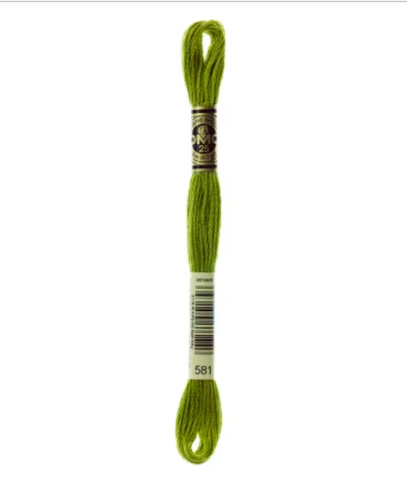 DMC Floss Moss Green 581