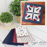 Corner Dresdens Mini Quilt - Circle Backing