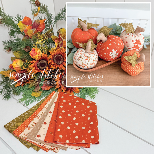 Harvest Pumpkin Patch Kit