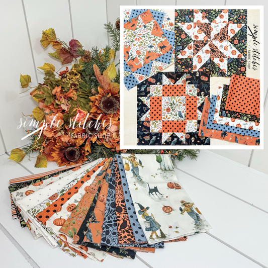 Star Sampler Quilt Kit
