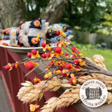 That's A Wrap Spooky Edition- Summer House Stitch Works