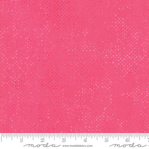 Spotted Popsicle Yardage by Zen Chic for Moda 1660-24 - PRICE PER 1/2 YARD