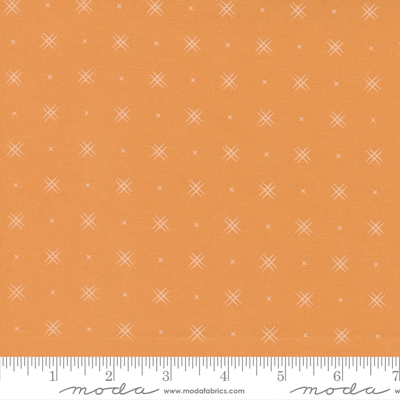 Beyond Bella On Point Blender Amelia Apricot Yardage by Moda 16740 162- PRICE PER 1/2 YARD