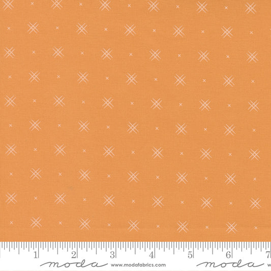 Beyond Bella On Point Blender Amelia Apricot Yardage by Moda 16740 162- PRICE PER 1/2 YARD
