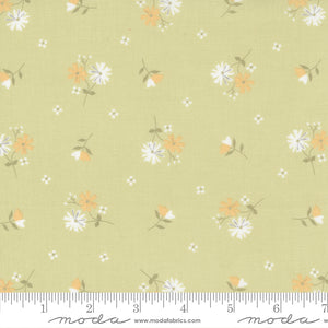 Buttercup & Slate Daisy Oh Small Floral Sprig Yardage for Moda -29153 15 - PRICE PER 1/2 YARD