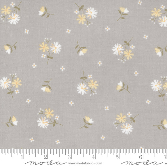 Buttercup & Slate Daisy Oh Small Floral Pebble Yardage for Moda -29153 16 - PRICE PER 1/2 YARD