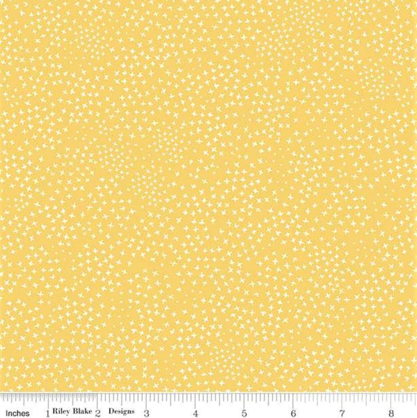 Honey Bee Criss Cross Daisy Yardage for RBD-C11706-DAISY - PRICE PER 1/2 YARD