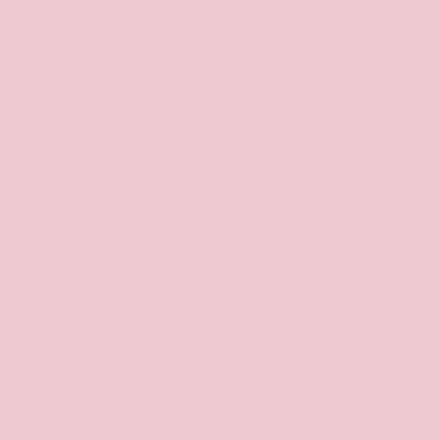 Confetti Cotton Peaches & Cream Yardage by RBD for Riley Blake Designs C120- PRICE PER 1/2 YARD